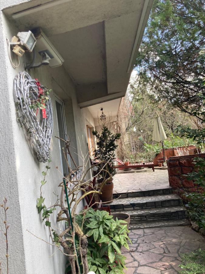 Donau Apartman,Tát Bagian luar foto