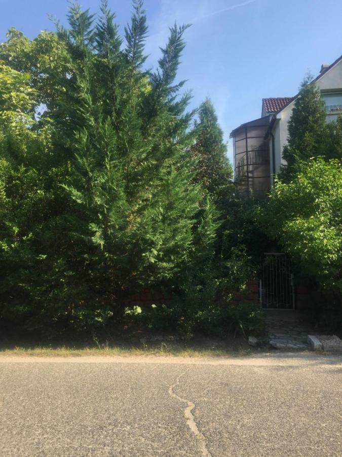 Donau Apartman,Tát Bagian luar foto